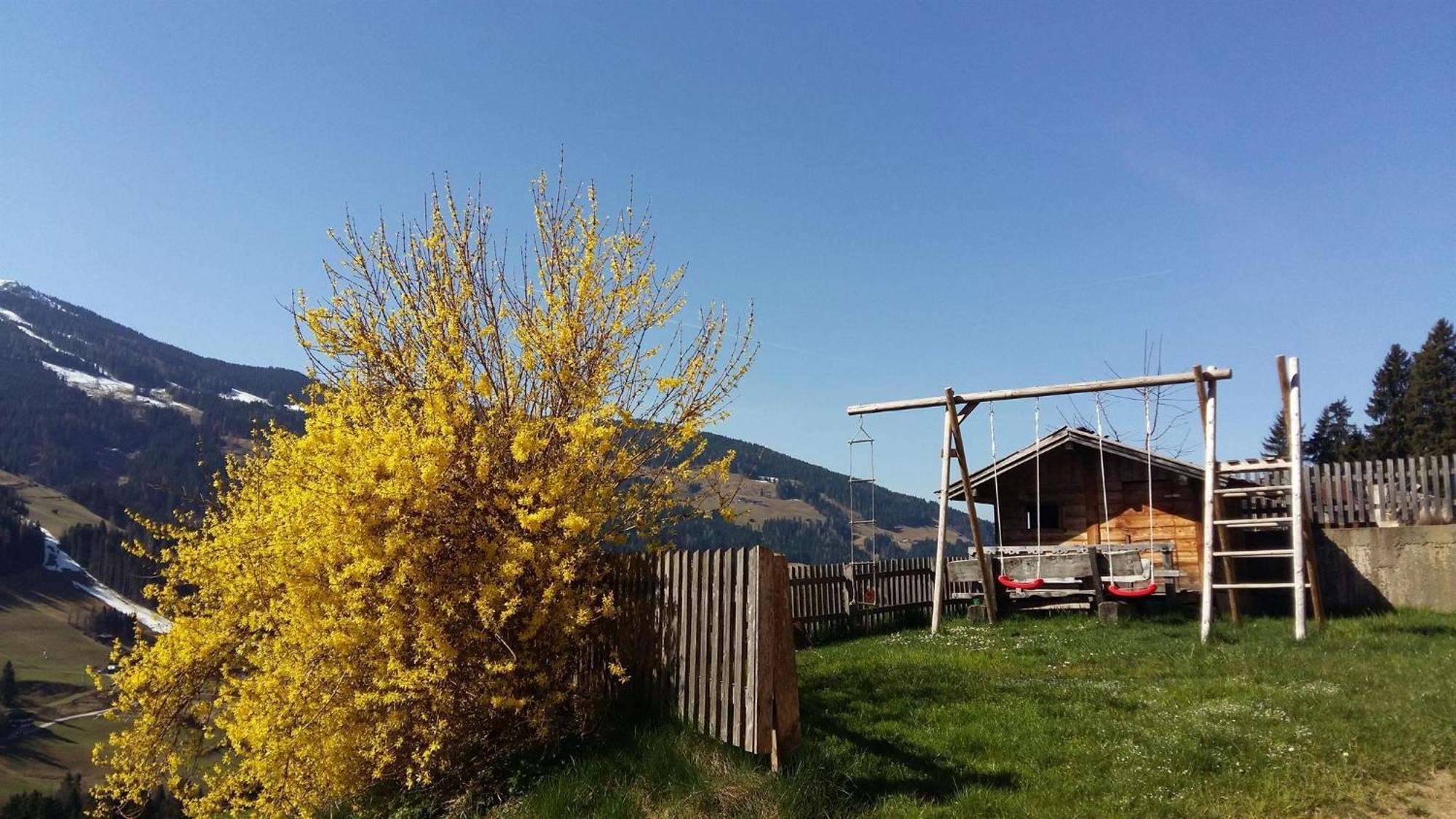 Aussermoos-Zuhaus Alpbach Luaran gambar